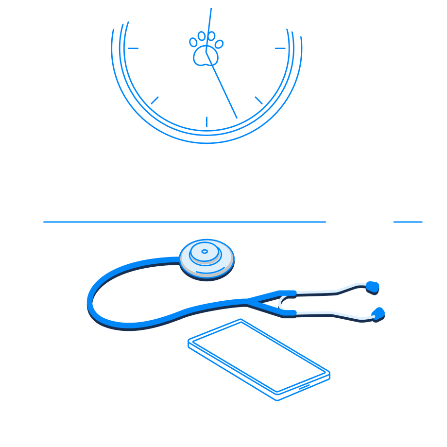 6374f10c8bdbc712c2fe71c4_vetapp_generaliste